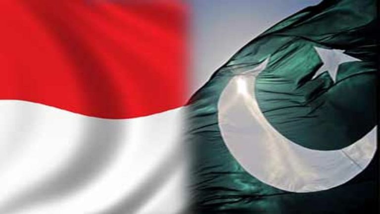 Pakistan, Indonesia agree to promote bilateral ties in diverse areas