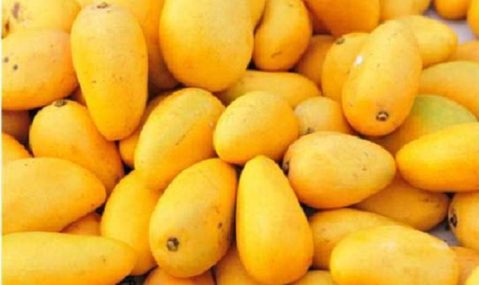 Pakistani mango tasting salon held in Guangzhou to boost bilateral trade