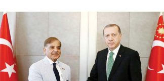 Turkish Democracy Day an expression of trust in Erdogan’s leadership: PM
