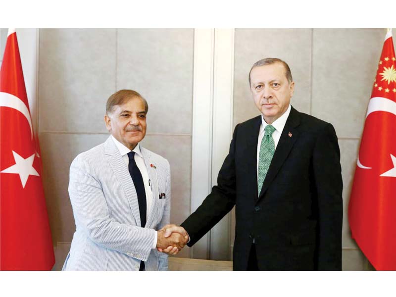 Turkish Democracy Day an expression of trust in Erdogan’s leadership: PM