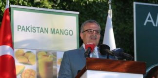 Pak embassy organizes mango festival in Ankara