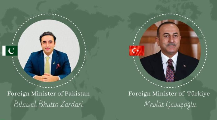 Pakistan, Turkish FMs resolve to work together for regional peace, prosperity