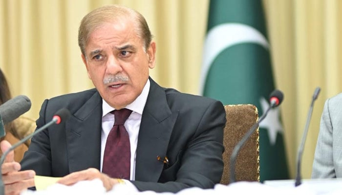 PM urges UAE businessmen to exploit immense business opportunities in Pakistan