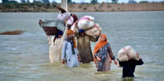 CM, UAE Consul General discuss rehabilitation of flood affectees