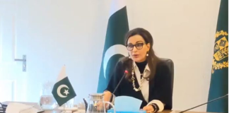 Recharge Pakistan project gets approval of US$77.8 mln funding: Sherry Rehman