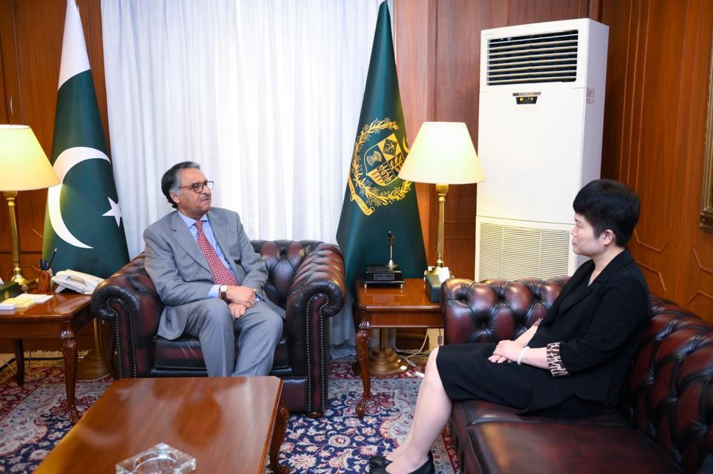 UAE, China envoys call on foreign minister