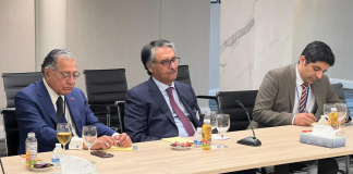 FMs of Pakistan, Egypt agree to boost bilateral engagement in diverse fields