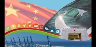 Work on 884-MW SK Hydropower project in full swing: Wang Huihua
