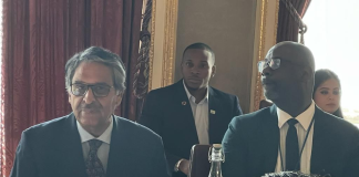 FM chairs meeting of first ministerial task force of commonwealth youth ministers