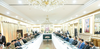 NAP apex body decides to expel illegal foreign residents, act against their businesses, properties