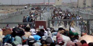 https://www.app.com.pk/national/only-24-days-left-for-illegal-immigrants-to-leave-pakistan/