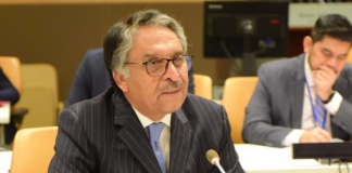 Caretaker FM expresses solidarity with Afghanistan in wake of devastating earthquake
