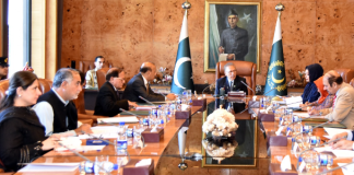 PM for trickle-down effect of SIFC initiatives in each province