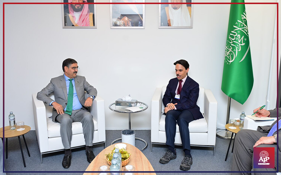 Saudi foreign minister calls on PM Kakar