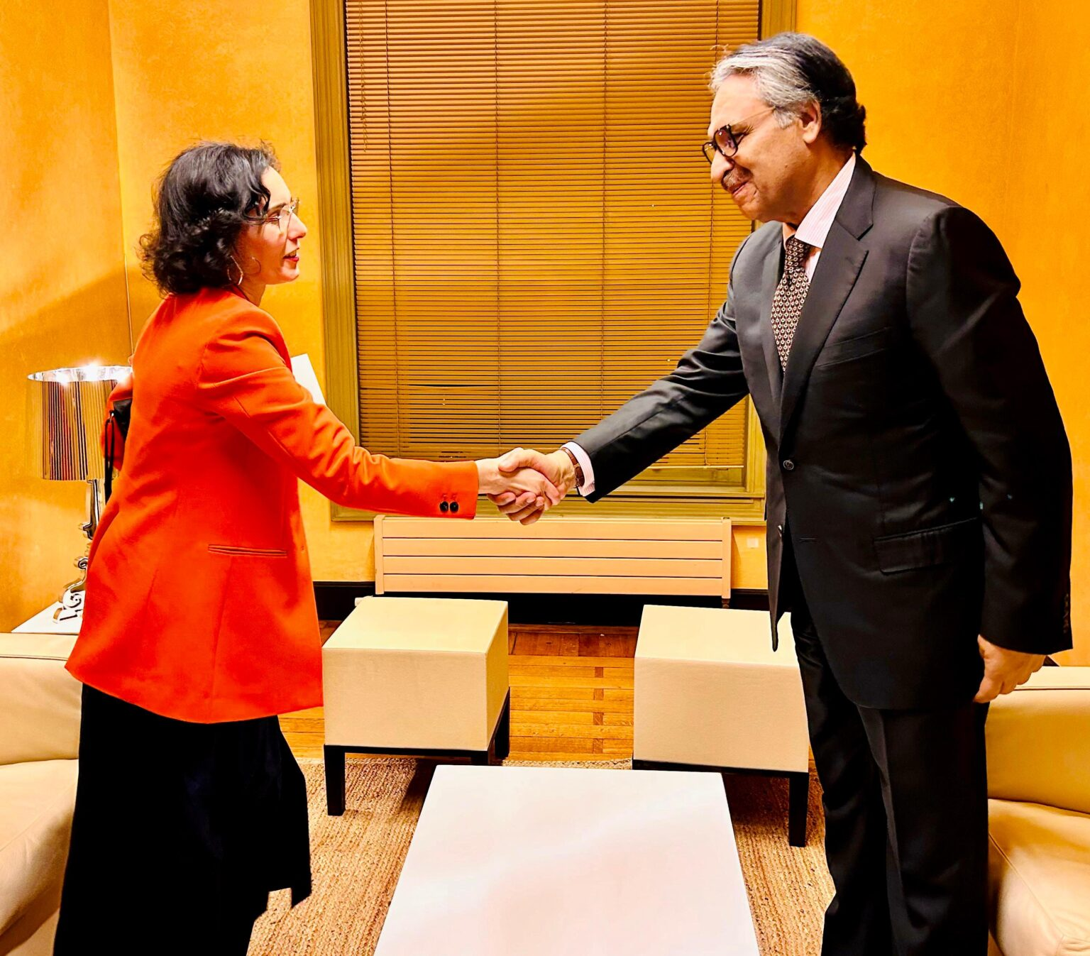 Pak, Belgian FMs discuss cooperation in trade, education sectors