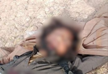 Terrorist killed in D.I. Khan IBO