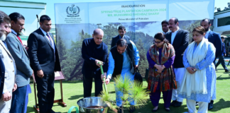 PM kicks off spring plantation drive, vows to save country from climate change risks