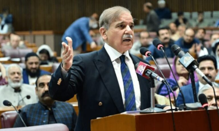 Mounds of socio-economic challenges exist; but surmountable: PM-elect Shehbaz