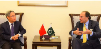 Pakistan, China agree to advance collaboration, emphasize CPEC monitization