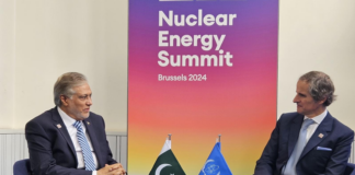 FM, DG IAEA discuss issues related to nuclear energy