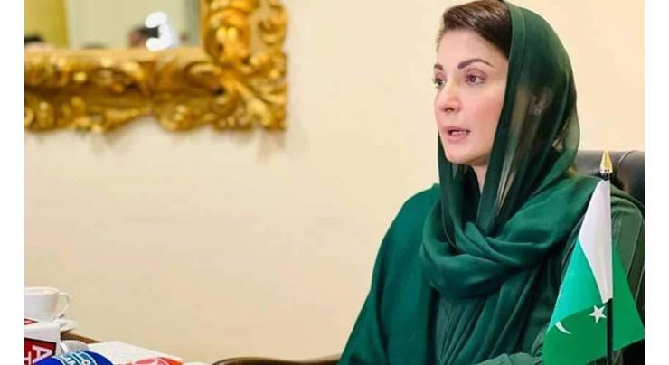CSCEC Chairman calls on Punjab CM