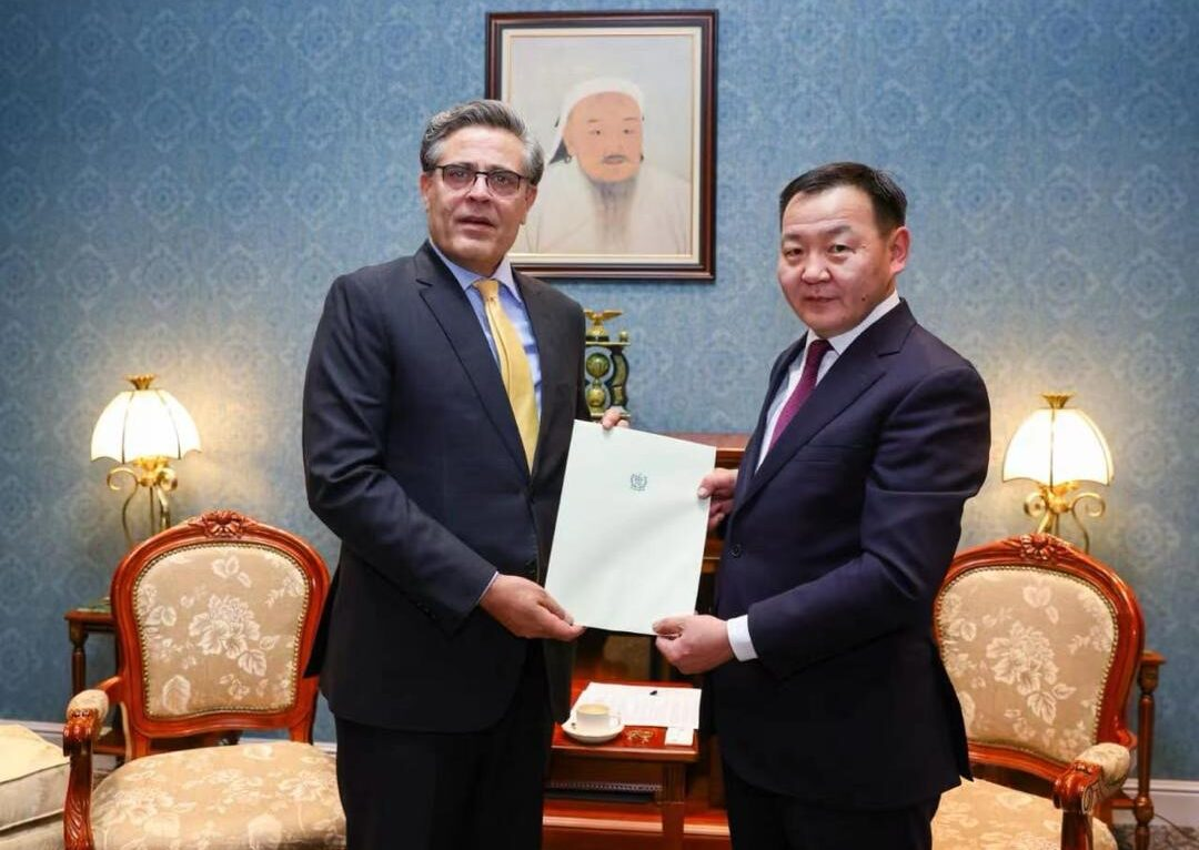 Ambassador Hashmi presents credentials to President of Mongolia