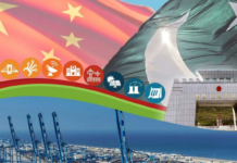BRI, CPEC to play significant role for Pakistan’s economic growth: Chinese analysts