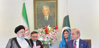 Cabinet adopts condolatory resolution; vows to carry forward Raisi’s vision of stronger bilateral ties