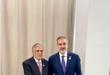 Deputy PM, Turkish FM discuss bilateral ties between two countries