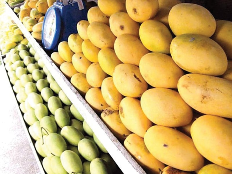 Mango Festival aligning with modern requirements to boost mango exports