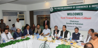 Gilani stresses need to incentivize agriculture, industry to address unemployment