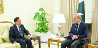 PM invites Chinese firm to invest in mining; assures maximum facilitation