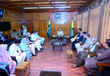 PM Shehbaz urges PML-N’s role for AJK progress, public relief