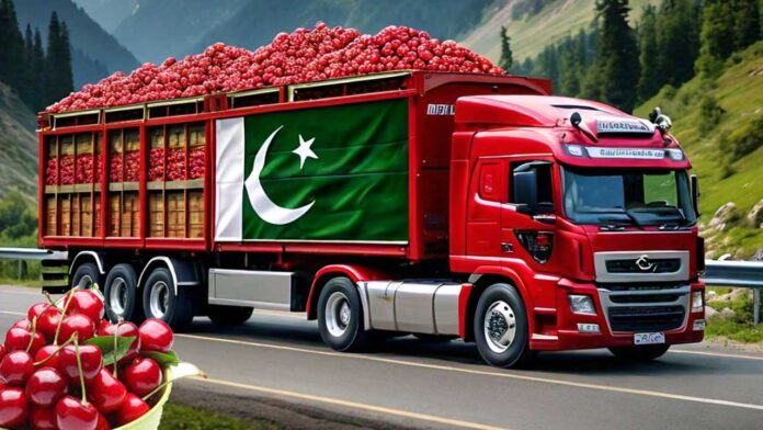 First shipment of Cherry from Pakistan reached China