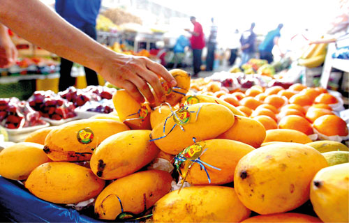 Pakistani mangoes arrive in China, delighting e-commerce shoppers with sweet flavors