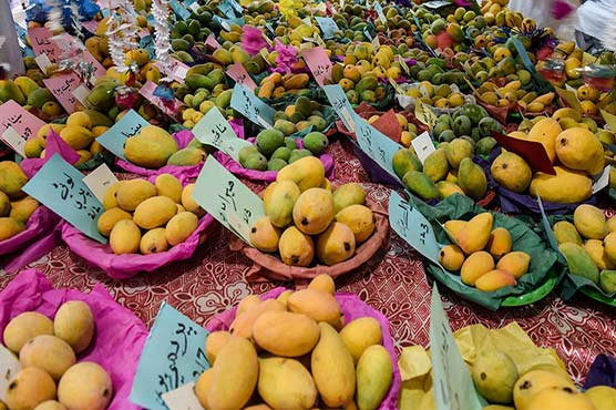 Domestic Over 100 varieties on display at Mango festival commencing from Friday