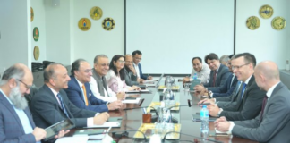 Denmark wants to invest in Pakistan’s mining industry
