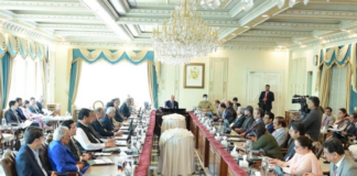 Cabinet endorses Trade Framework Agreement between Pakistan, Southern Common Market