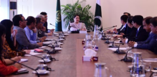 Chinese delegation calls on Romina Khurshid Alam, discusses green and efficient mobility solutions