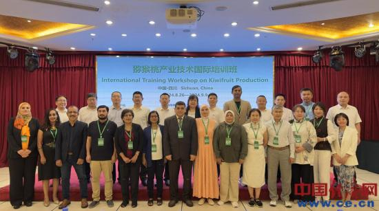 Pakistan, China join hands to tap global Kiwifruit market potential