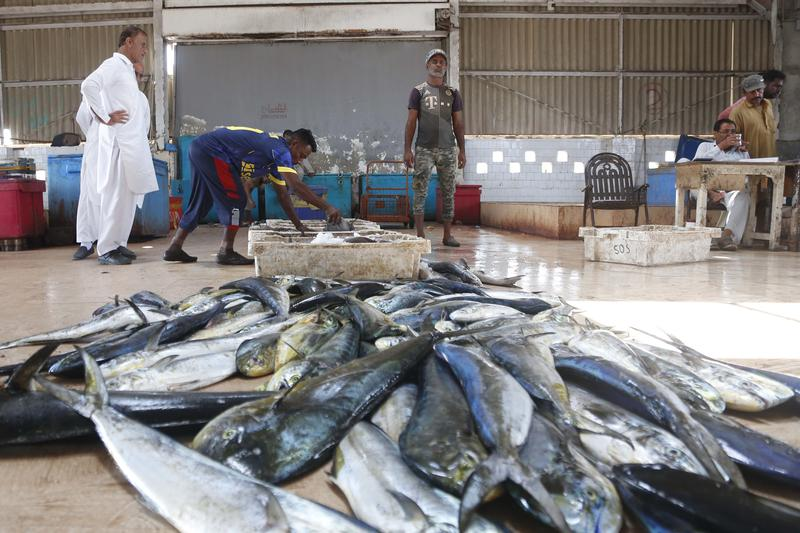 Fishermen in Gwadar, Pakistan