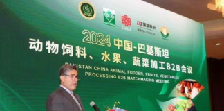 巴基斯坦与中国就培育动物饲料、水果、蔬菜加工行业合资企业签署13项谅解备忘录