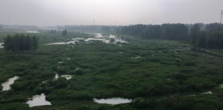 Si River nurtures Confucian culture in Chin’s Shandong Province