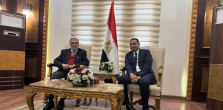 DPM Ishaq Dar in Cairo to attend D-8 Summit