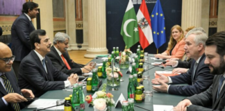 Pakistan-Austria ties to be further strengthened through parliamentary, economic cooperation