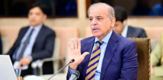 Govt. making tedious efforts to achieve sustainable economic growth: PM