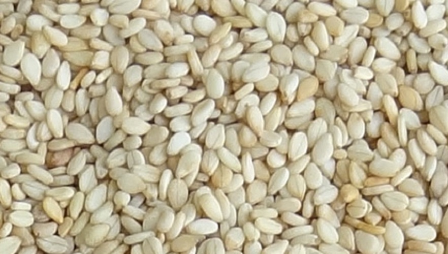 Pakistan’s sesame seed exports to China surge by 180% in early 2025