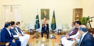 PM Shehbaz, AJK leadership discuss political situation, development projects