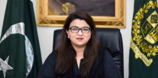 Pakistan to achieve $4 billion in IT exports: Shaza