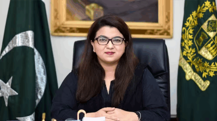 image Pakistan to achieve $4 billion in IT exports: Shaza